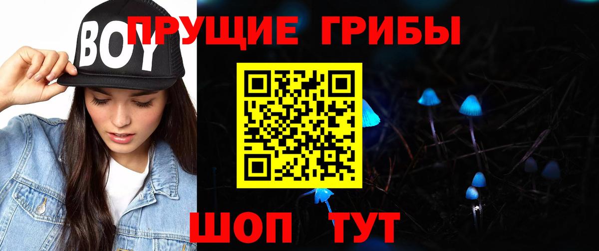Псилоцибиновые грибы Magic Shrooms  Вход с VPN  Черкесск  Псилоцибиновые грибы ЛСД 