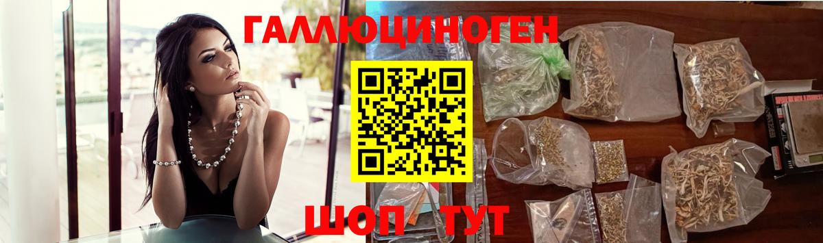 Галлюциногенные грибы Magic Shrooms Черкесск