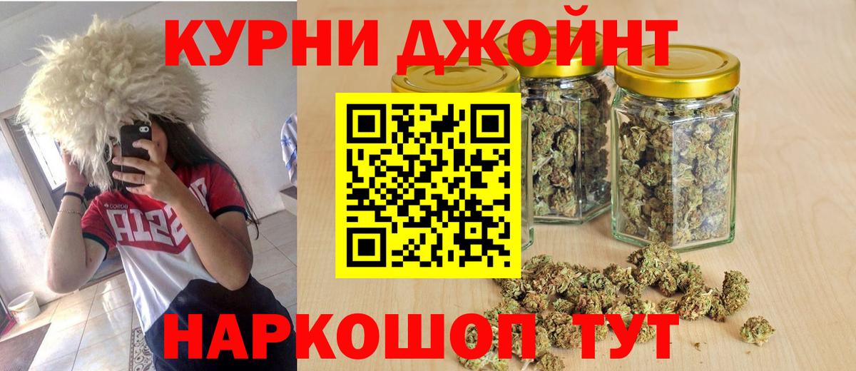 Каннабис сатива Черкесск